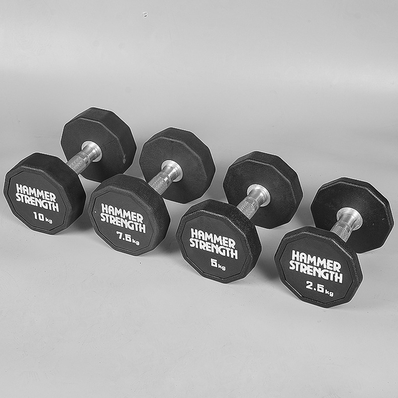 Verschillende gewichten dumbbe - Home Gym Dumbbell Set recensie en prijs